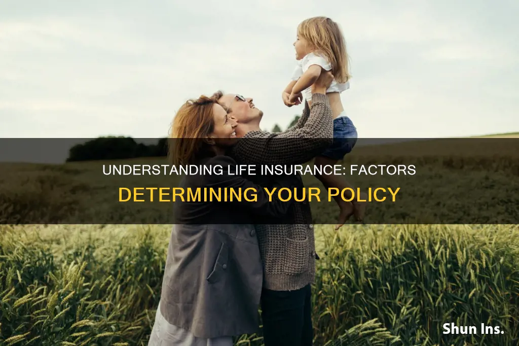 how is life insurance determined