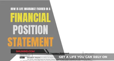 Life Insurance: Understanding Your Financial Position