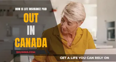 Life Insurance Payouts in Canada: What You Need to Know