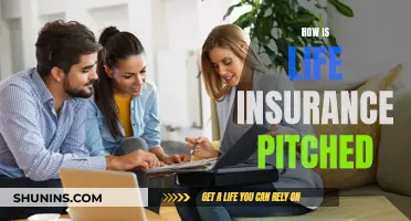 Life Insurance: Pitching for Protection