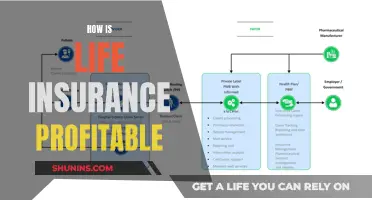 Life Insurance: Profiting from Uncertainty