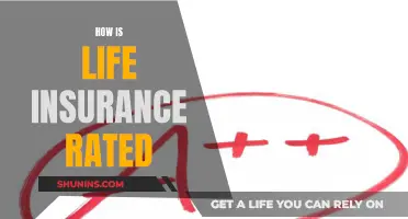 Life Insurance Rating: What You Need to Know