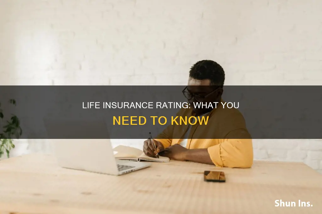 how is life insurance rated