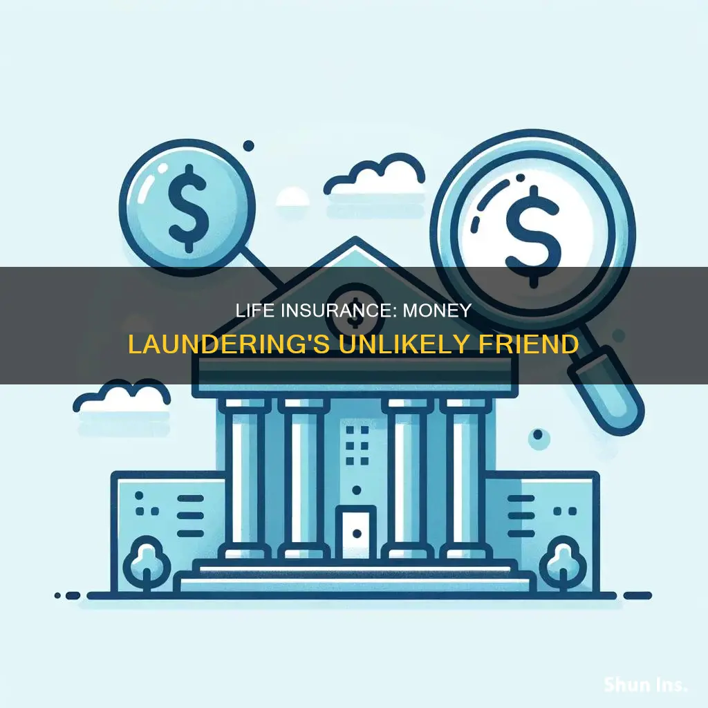 how is life insurance related to money laundering