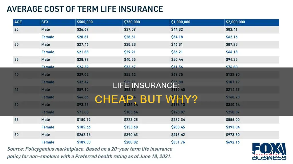 how is life insurance so cheap