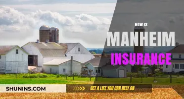 Understanding Manheim Insurance: Coverage, Benefits, and Claims Process Explained