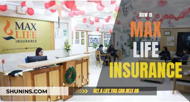 Max Life Insurance: A Comprehensive Overview