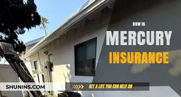 Exploring Mercury Insurance: Coverage, Benefits, and Customer Experience