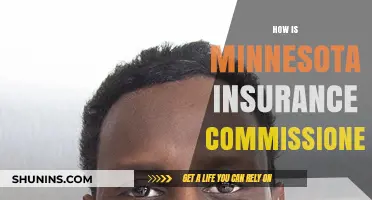 Understanding Minnesota's Insurance Commissioner: Role, Responsibilities, and Impact