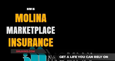 Understanding Molina Marketplace Insurance: Benefits, Coverage, and Enrollment Guide