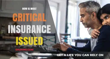 Understanding the Process of Issuing Critical Insurance Policies