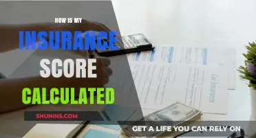 Understanding Your Insurance Score: Key Factors and Calculation Methods