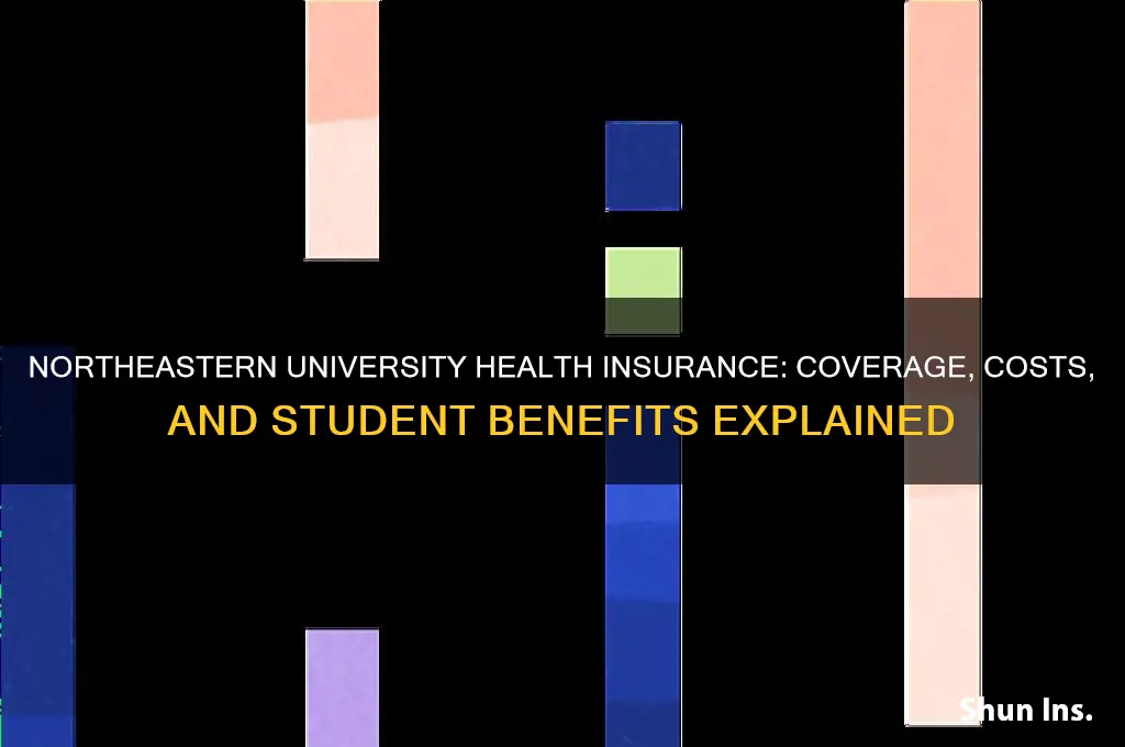 how is northeastern university health insurance