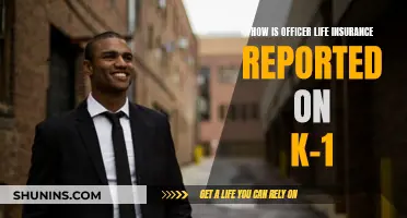 Officer Life Insurance: K-1 Reporting and You