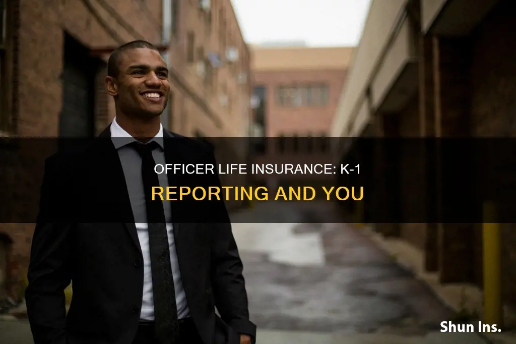 how is officer life insurance reported on k-1