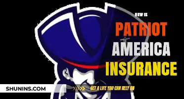 Understanding Patriot America Insurance: Coverage, Benefits, and How It Works