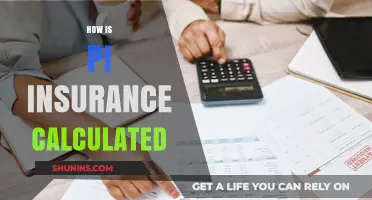 Understanding PI Insurance Calculations: Factors, Formulas, and Cost Determinants