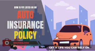 PIP's Place in Auto Insurance: Understanding No-Fault Coverage