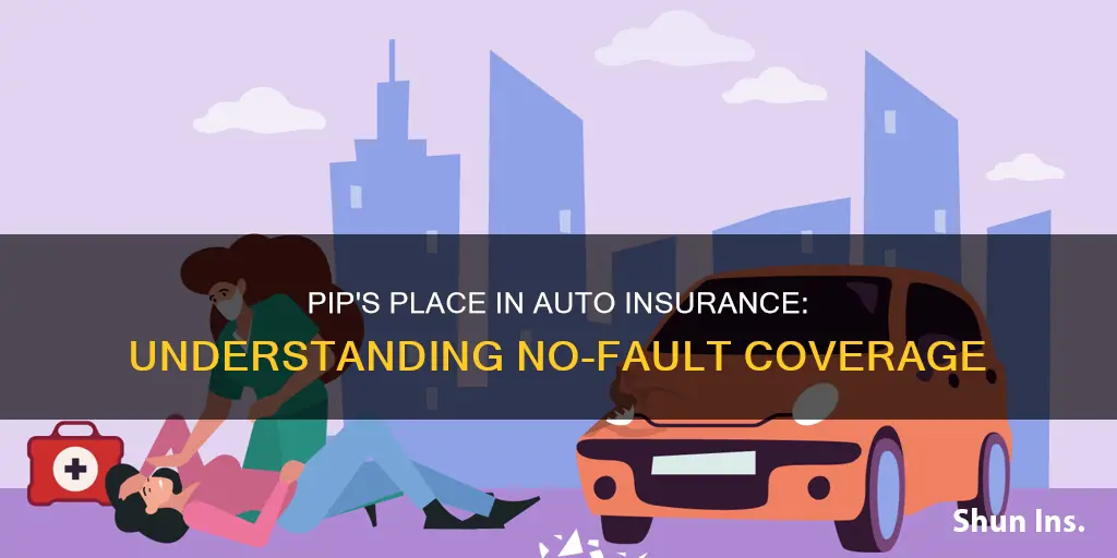 how is pip listed on an auto insurance policy