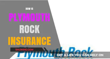 Plymouth Rock Insurance: Coverage, Benefits, and Customer Experience Explained