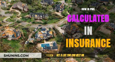 Understanding PML Calculation in Insurance: A Comprehensive Guide