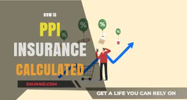 Understanding PPI Insurance Calculations: A Comprehensive Guide for Consumers