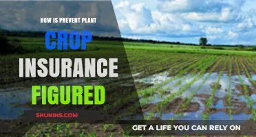 Understanding Prevent Plant Crop Insurance Calculations: A Comprehensive Guide