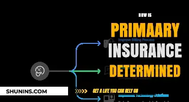 Understanding Primary Insurance Determination: Key Factors and Processes Explained