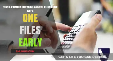 Early Filing: How Your Primary Insurance Amount is Calculated