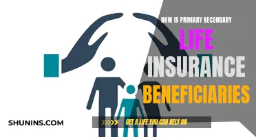 Life Insurance 101: Primary and Secondary Beneficiaries Explained