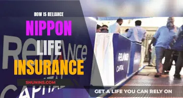 Reliance Nippon Life Insurance: Is It Worth Investing In?