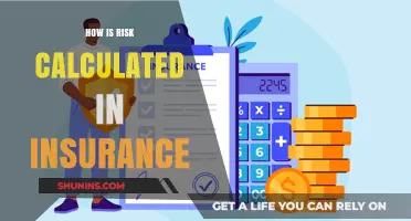 Calculating Insurance Risk: The Science Behind the Scenes