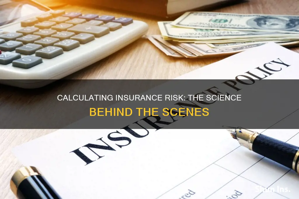 how is risk calculated in insurance