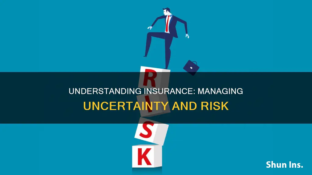 how is risk related to insurance