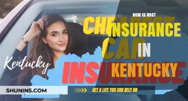 Understanding Root Insurance in Kentucky: Benefits, Coverage, and Costs Explained