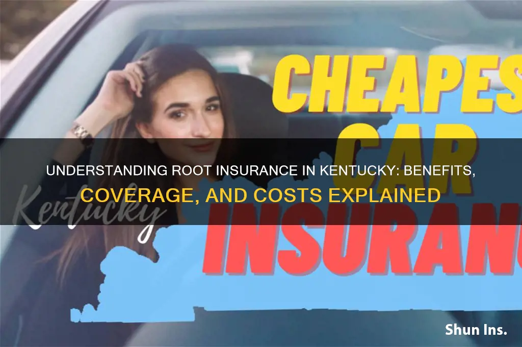 how is root insurance in kentucky