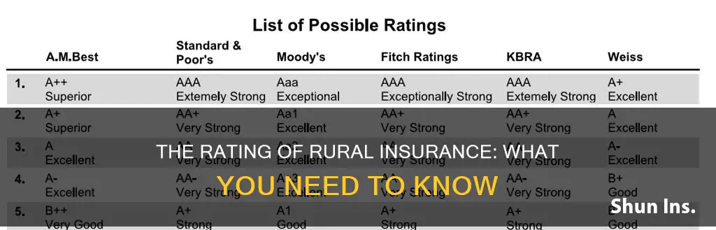 how is rurzl insurance rated