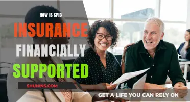 Understanding SPIC Insurance's Financial Backing and Funding Sources