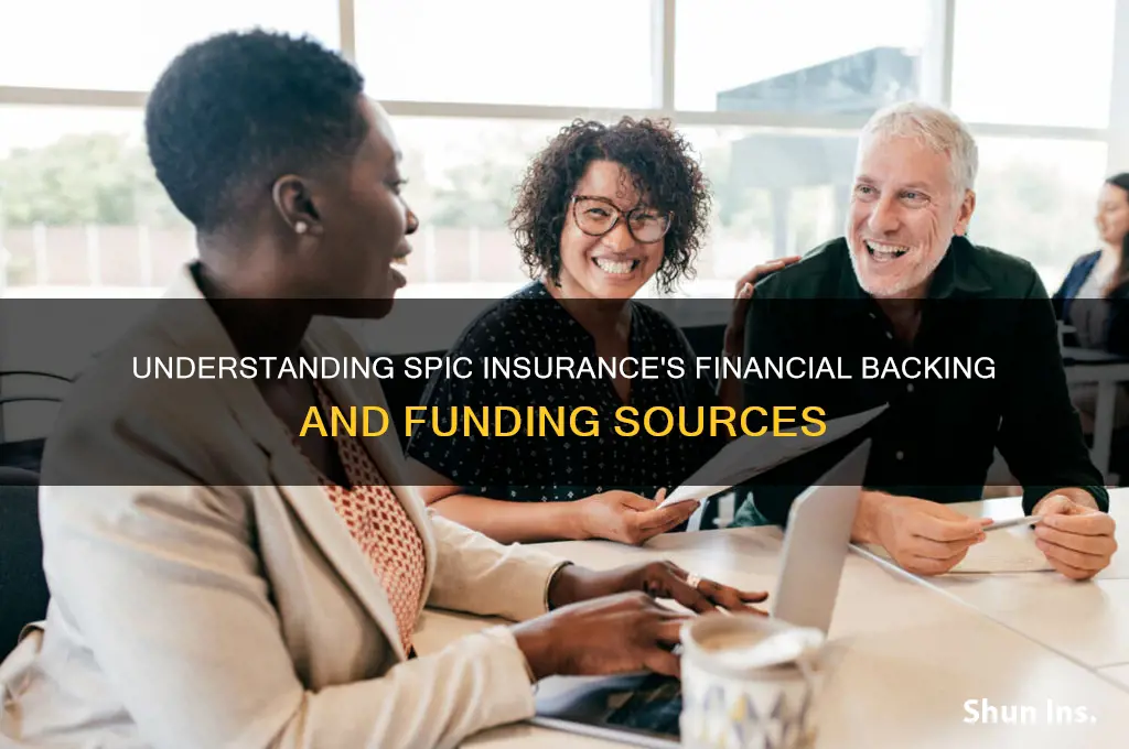 how is spic insurance financially supported