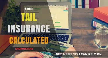 Understanding Tail Insurance Calculations: Factors and Cost Determination Explained