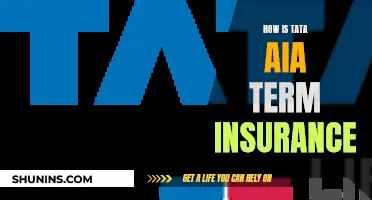 Tata AIA Term Insurance: Unraveling the Benefits and Features of This Popular Policy Option