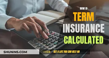 Understanding the Complexities of Term Insurance Calculations