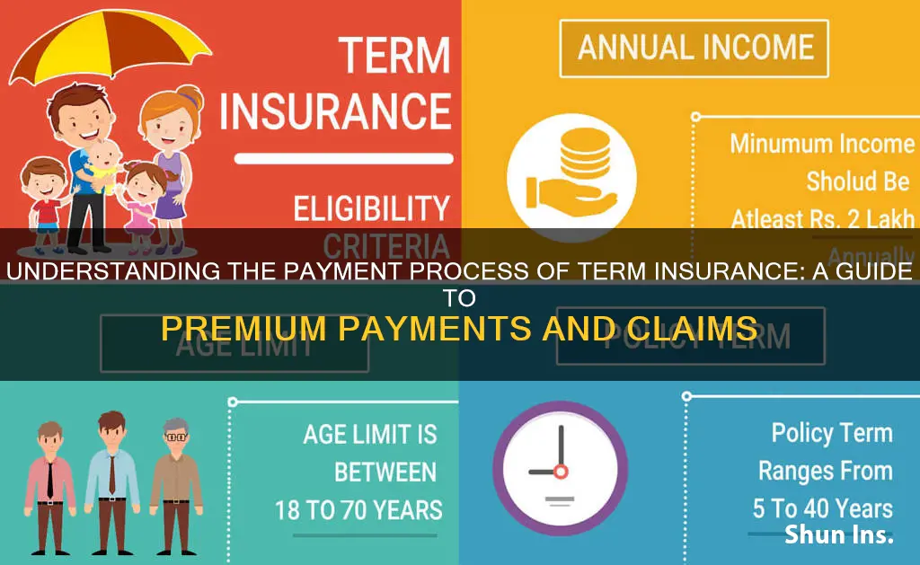 how is term insurance payment