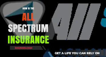 Exploring All Spectrum Insurance: Comprehensive Coverage and Benefits Explained