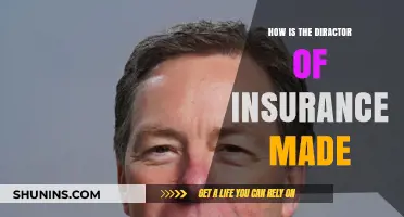 Understanding the Process of Appointing a Director of Insurance