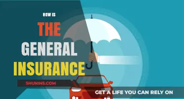 Understanding General Insurance: Coverage, Benefits, and Key Considerations