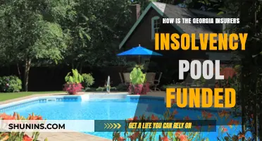 Understanding Georgia Insurers Insolvency Pool Funding Sources and Mechanisms