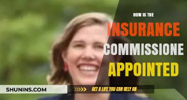 Understanding the Appointment Process of an Insurance Commissioner