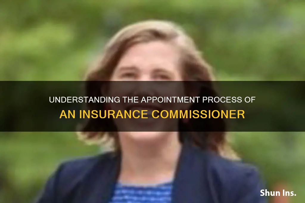 how is the insurance commissioner appointed