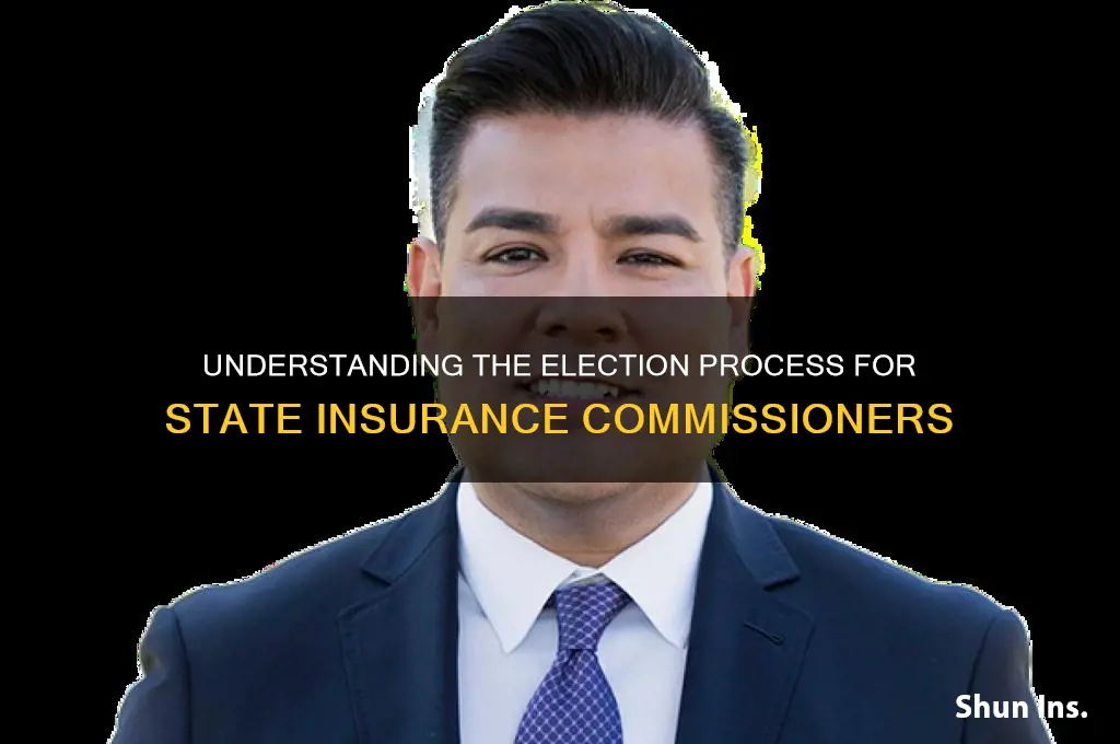 how is the insurance commissioner chosen